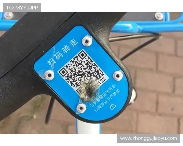 亚星app下载二维码图片详细教程，帮助新手快速掌握扫码安装流程